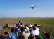 Mentan Janji Pulihkan Persawahan Aceh Pascabencana