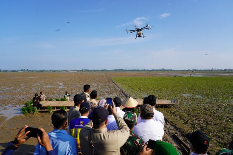 Mentan Janji Pulihkan Persawahan Aceh Pascabencana