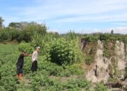 Longsor Ancam Ruas Blang Mancung–Simpang Balek, Kasat Lantas Pastikan Lalin Tetap Aman