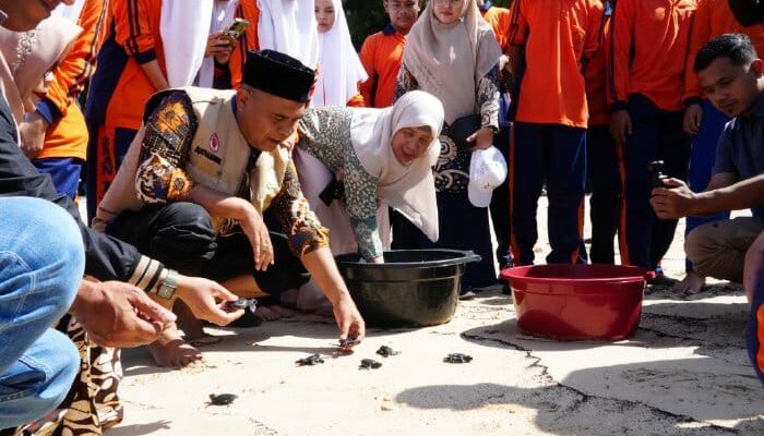 Dari Sekolah Untuk Laut; Langkah Kecil Siswa SMA 1 Lhoknga Lepas 79 Tukik