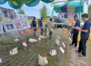 KEJPL Gelar Kontes Entok Nasional Season 2