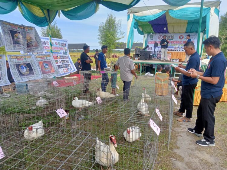 KEJPL Gelar Kontes Entok Nasional Season 2