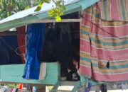 Pemkab Bireuen Jangan Biarkan Korban Banjir Bandang Berbulan-bulan Hidup di Tenda