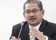 Polemik Pasal Penghinaan