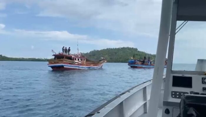 TNI AL Gagalkan Penyelundupan Ratusan Ekor Babi Ilegal di Perairan Nias Utara