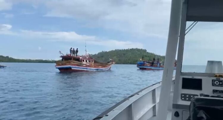 TNI AL Gagalkan Penyelundupan Ratusan Ekor Babi Ilegal di Perairan Nias Utara