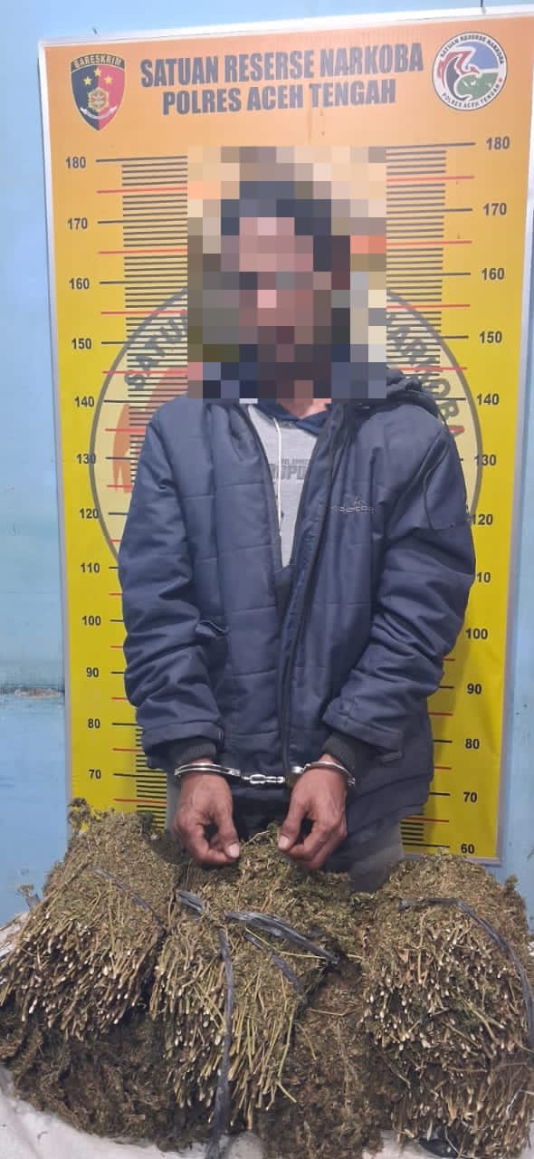 Polisi Amankan Petani Bersama 7 Kg Ganja di Aceh Tengah