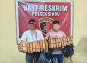 Polsek Siabu Amankan 22 Kg Ganja dan Dua Bandar di Panyabungan