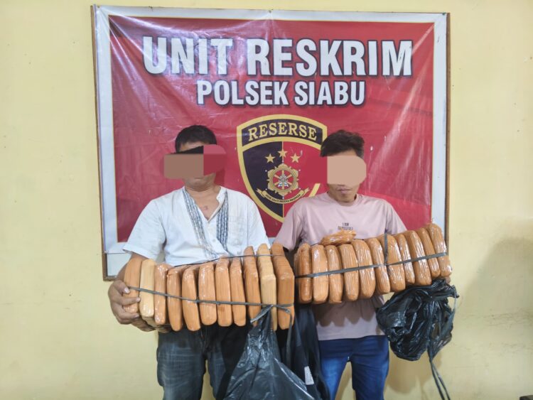 Polsek Siabu Amankan 22 Kg Ganja dan Dua Bandar di Panyabungan