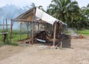 Polres Binjai Musnahkan Barak Narkoba di Bhakti Karya Binjai Selatan