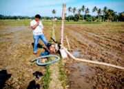 Darurat Air, Petani Simpang Tiga Terancam Gagal Tanam