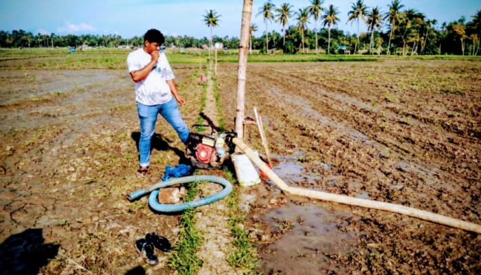 Darurat Air, Petani Simpang Tiga Terancam Gagal Tanam
