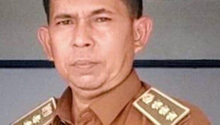 Musim Tanam Dimulai, Forkopimcam Peukan Baro Tertibkan Ternak Liar