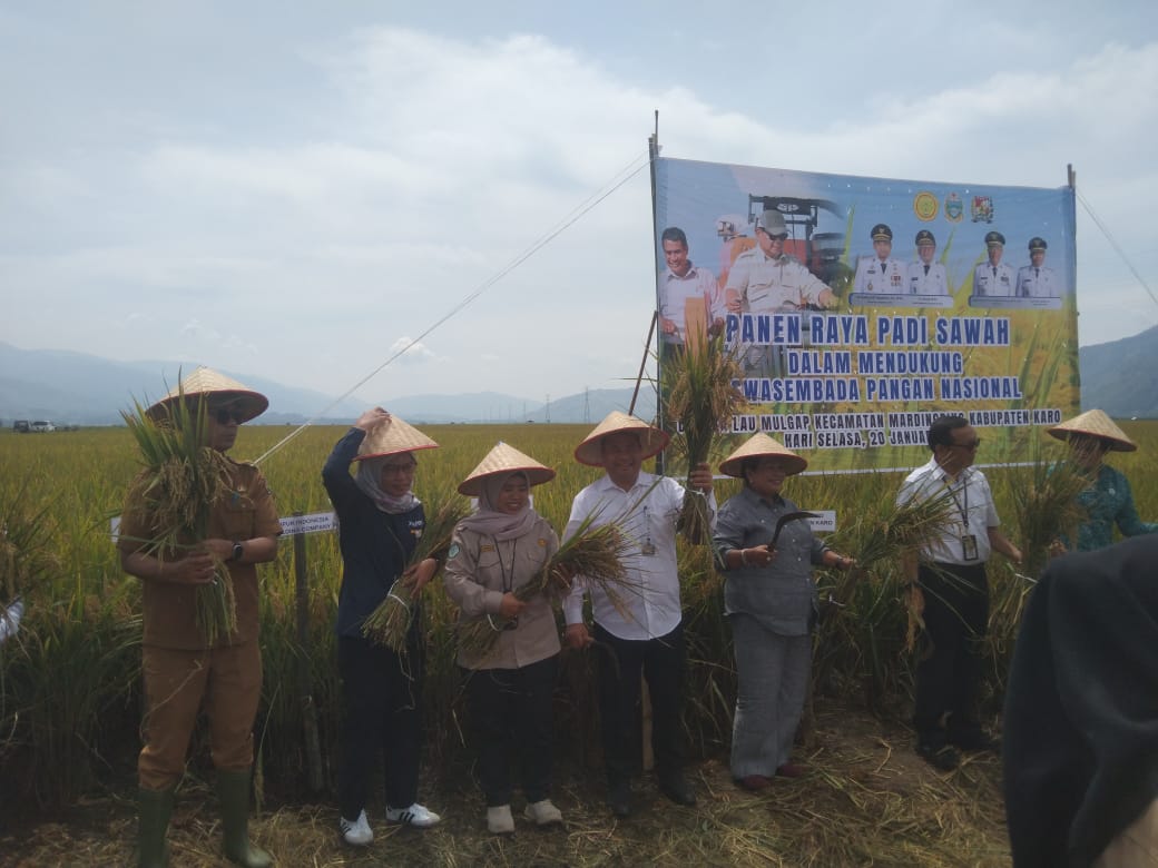 Kementan Normalisasi Irigasi, Petani Mardinding Kembali Panen