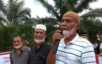 Perjuangan Adat Berbuah, Izin PT PLS Dicabut