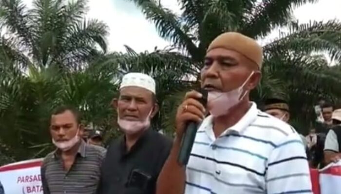 Perjuangan Adat Berbuah, Izin PT PLS Dicabut