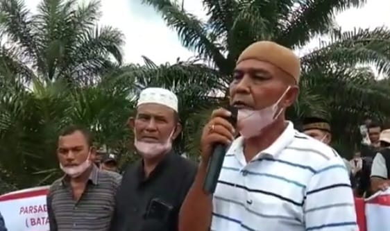 Perjuangan Adat Berbuah, Izin PT PLS Dicabut