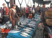 Pasokan Ikan di Aceh Masih Aman, Kenaikan Harga Dipicu Faktor Musiman
