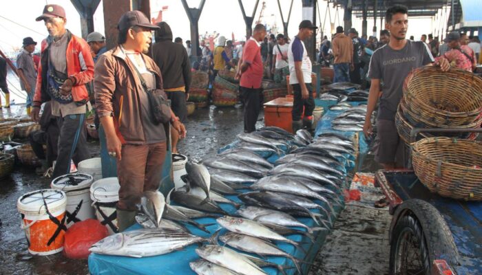 Pasokan Ikan di Aceh Masih Aman, Kenaikan Harga Dipicu Faktor Musiman