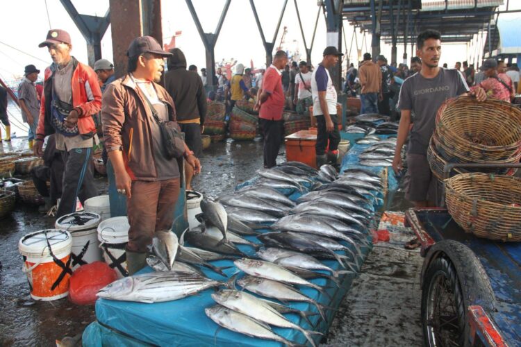 Pasokan Ikan di Aceh Masih Aman, Kenaikan Harga Dipicu Faktor Musiman
