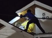 Tawon Yang Serang Anak-anak Di Leu Ue Dievakuasi