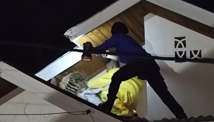 Tawon Yang Serang Anak-anak Di Leu Ue Dievakuasi