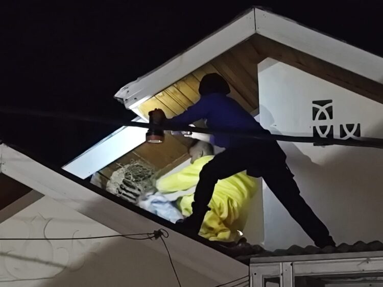 Tawon Yang Serang Anak-anak Di Leu Ue Dievakuasi