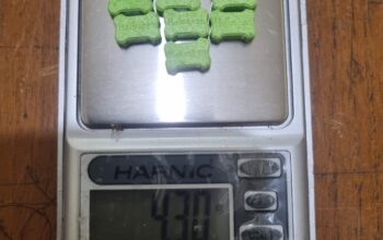 Jual Narkoba, Dua Pria di Kabupaten Langkat Digelandang ke Polres Binjai