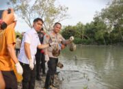 Polres Batubara Gagalkan Penyelundupan Ratusan Belangkas Ke Malaysia