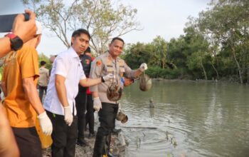 Polres Batubara Gagalkan Penyelundupan Ratusan Belangkas Ke Malaysia
