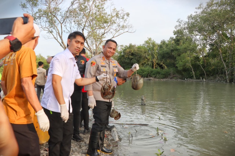 Polres Batubara Gagalkan Penyelundupan Ratusan Belangkas Ke Malaysia