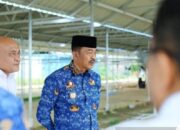 660 Los Pasar Baru Panyabungan Difungsikan Januari 2026, Pengamat Minta DPRD Turun Langsung