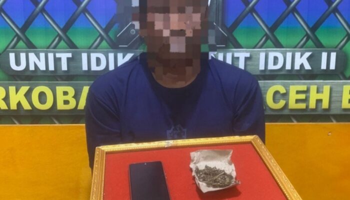Subuh Digerebek, Petani Di Manggeng Abdya Simpan Ganja 6,21 Gram