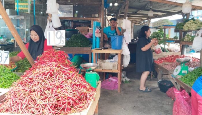 Dampak Bencana Mulai Tekan Produksi Cabai Sumut, Harga Pangan Berfluktuasi