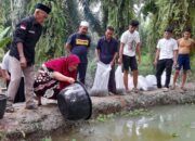 Perkuat Ketahanan Pangan, Desa Tunas Harapan Tabur 6000 Ekor Bibit Gurami