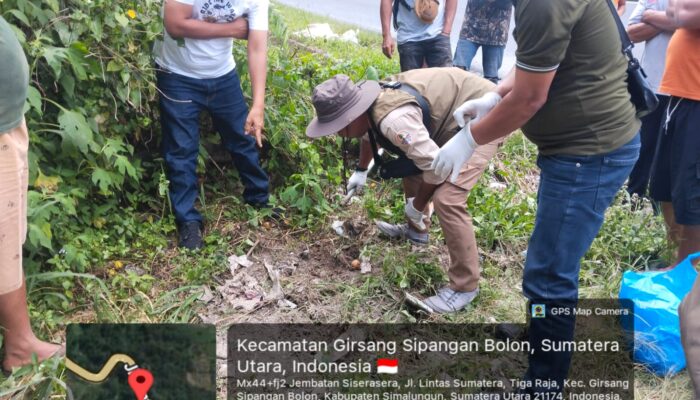 Harimau Mati Mengenaskan Tertabarak Ranmor di Jalinsum Girsang Sipangan Bolon
