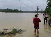 30 Ribu Hektare Tambak di Pesisir Aceh Rusak Akibat Bencana