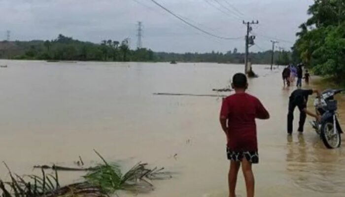 30 Ribu Hektare Tambak di Pesisir Aceh Rusak Akibat Bencana