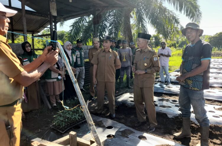 Lahan Terendam Banjir Koptan Agro Berkah Minta Bantuan Pupuk Dan Alsintan