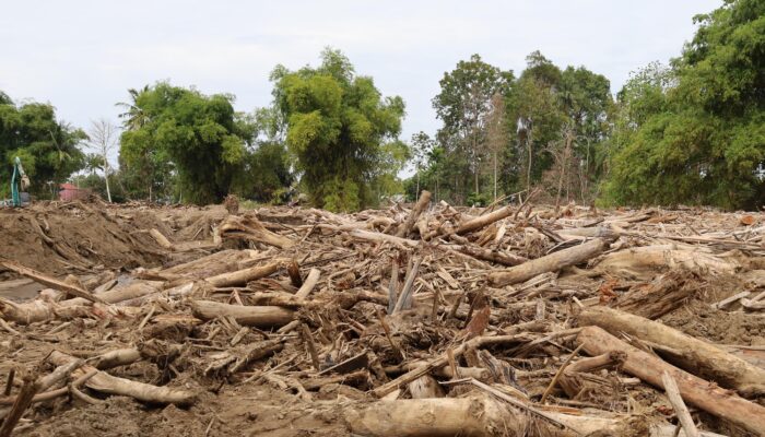 Usai Bencana, Aceh Bentuk Tim Kendalikan HGU Guna Cegah Penjarahan