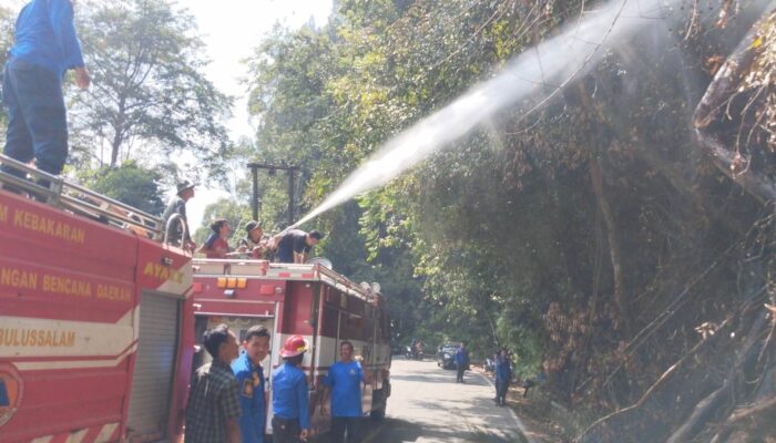 Empat Titik Karhutla Terjadi di Subulussalam Selama Tiga Hari Berturut