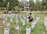 Ide Cemerlang Kapolda Aceh Tunjukkan Hasil, Lumpur Banjir Ternyata Bisa Jadi Media Tanam Produktif