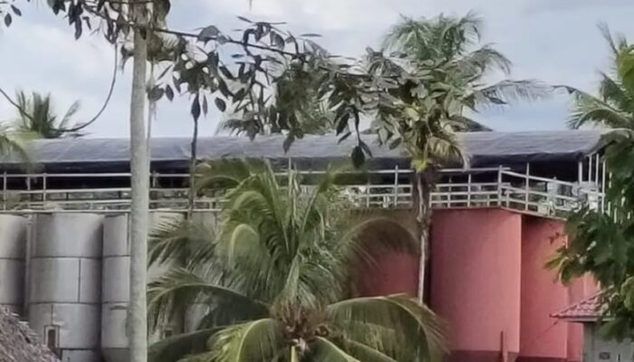 APH Bungkam, Merkuri dan Sianida Beredar Luas di Mandailing Natal