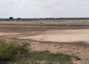 Petambak Aceh Utara Rehabilitasi Tambak Secara Mandiri, Tak Tunggu Bantuan Pemerintah