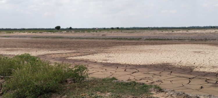 Petambak Aceh Utara Rehabilitasi Tambak Secara Mandiri, Tak Tunggu Bantuan Pemerintah