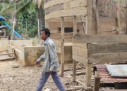 Korban Banjir Bandang Bireuen Bangun Gubuk Huntara Dengan Puing Kayu Sisa Rumah Roboh