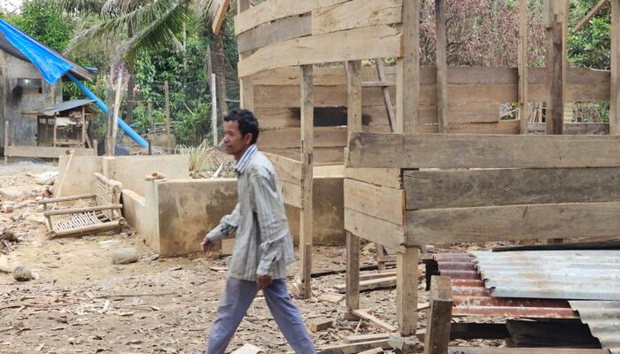 Korban Banjir Bandang Bireuen Bangun Gubuk Huntara Dengan Puing Kayu Sisa Rumah Roboh