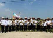 Petani Serdang Bedagai Panen Padi Hibrida