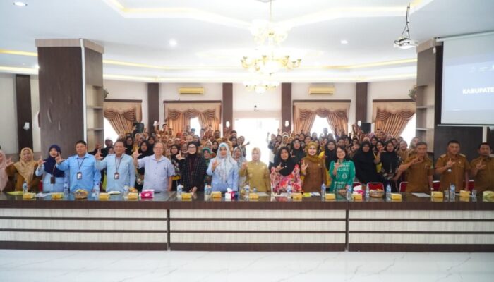 Wabup Langkat Buka Workshop Integrasi Data Program Sehati Bunda