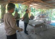 Polisi Geledah Lokasi Dugaan Judi Sabung Ayam dan Dadu di Binjai Barat, Tidak Ditemukan Aktivitas Ilegal